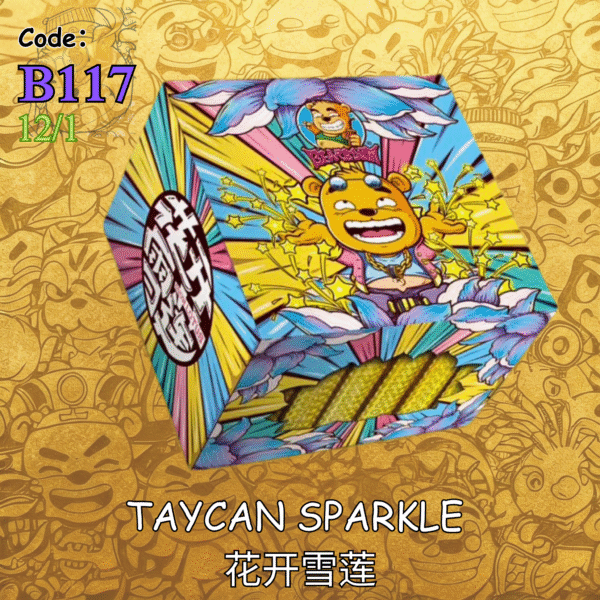 B117 | ⛲TAYCAN SPARKLE 花开雪莲